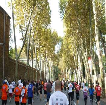 بهترین باشگاه های دویدن استانبول