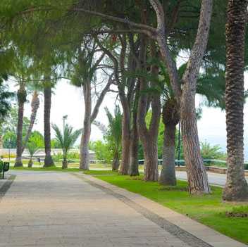 پارک کارالی اوغلو آنتالیا(درخت عاشق)