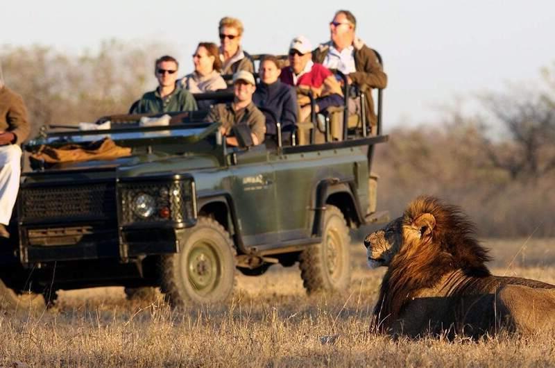 گلبرگ تور شب عید آفریقای جنوبی