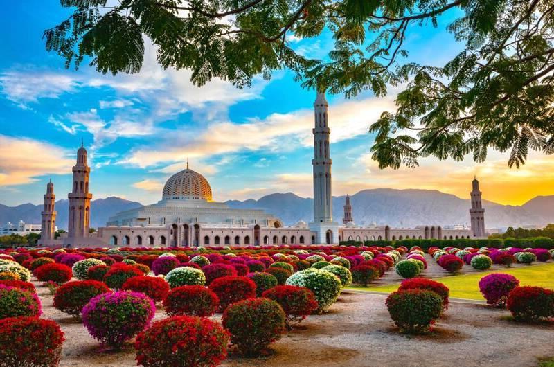 گلبرگ تور عمان 7 شب