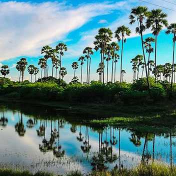 جافنا سریلانکا(تاریخچه و جاذبه ها)