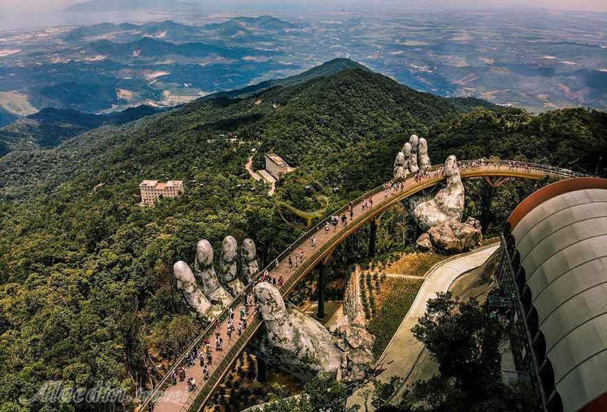 گلبرگ ویتنام