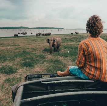 پارک ملی کاودولا در سریلانکا