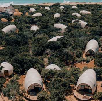 اقامتگاه چادری ساحل وحشی(گلمپینگ در پارک ملی یالا)