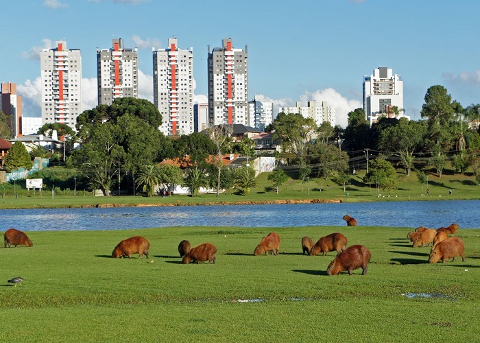 شهر مدرن کوریتیبا در برزیل