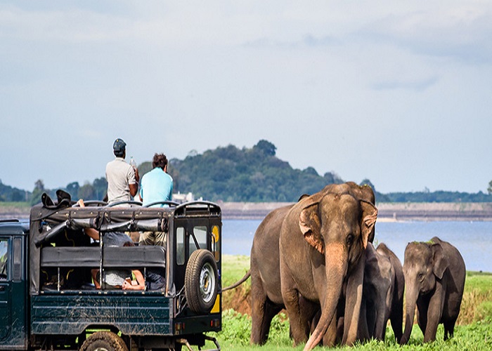  پارک ملی یالا در سریلانکا