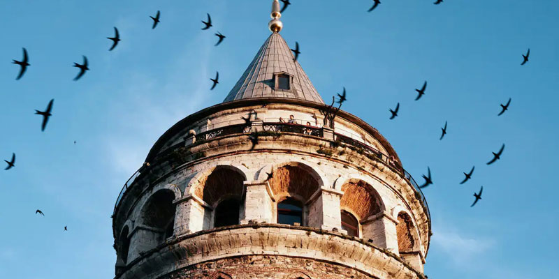 جاذبه‌ها گردشگری که مسافران استانبول از آنها با تور بازدید می کنند؟