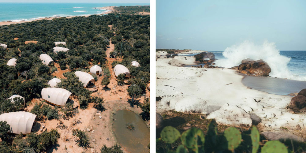 اقامتگاه چادری ساحل وحشی(گلمپینگ در پارک ملی یالا)