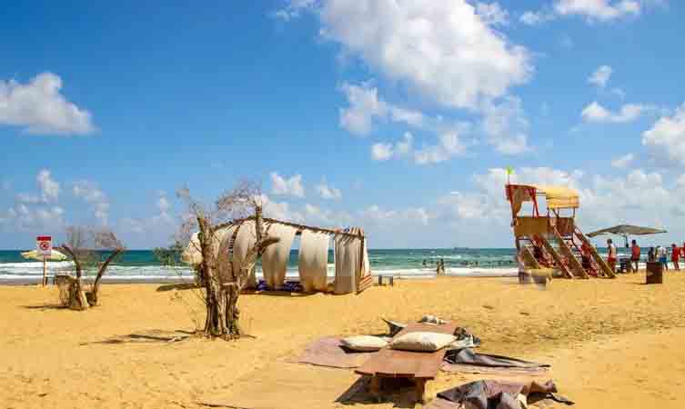 ساحل برک | BURC