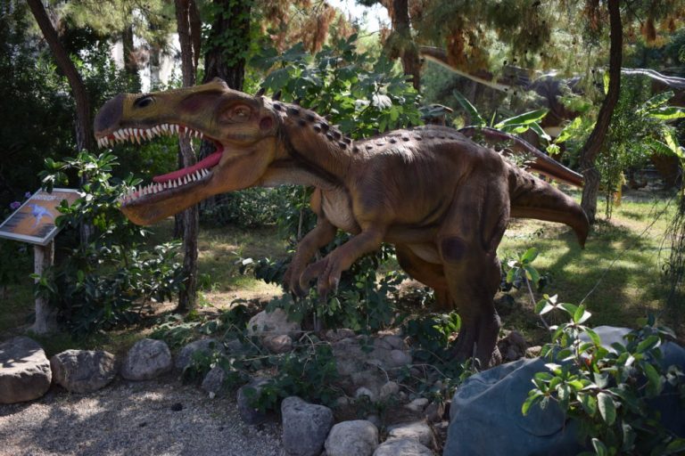 پارک دینو، Göynük  دایناسورها همیشه افراد را مجذوب خود کرده اند و وقتی از دایناسورها صحبت می کنند