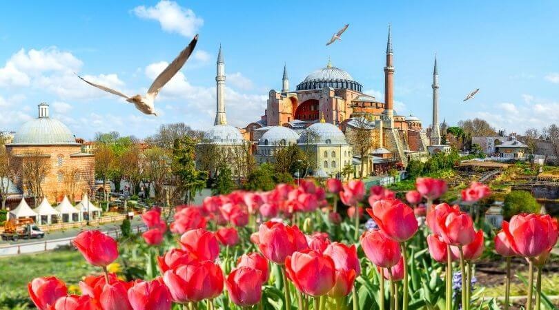جشنواره لاله های استانبول این روزها چه زمانی برگزار می شود؟